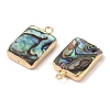 Natural Paua Shell Pendants SHEL-P017-16G-2