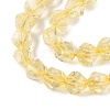 Crackle Transparent Glass Beads Strands GLAA-N068-02A-10-4