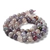 Natural Plum Blossom Tourmaline Beads Strands G-I355-01B-03-4