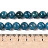 Round Natural Apatite Beads Strands G-K068-04-10mm-3