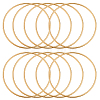 10Pcs Iron Ring for DIY Woven Net/Web with Feather IFIN-SP0001-56A-KCG-1