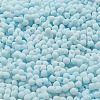 Macaron Color Opaque Frosted Glass Seed Beads SEED-K009-12B-11-3