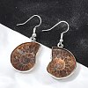 Fossil Spiral Dangle Earrings EJEW-P153-01-5