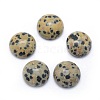 Natural Dalmatian Jasper Cabochons G-P393-R33-14mm-1