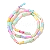 Rainbow Color Dyed Natural Freshwater Shell Beads Strands X1-SHEL-G018-02C-2