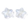 Transparent Acrylic Beads LS-OACR-N008-096-4