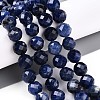 Natural Sodalite Beads Strands G-S345-10mm-26-2