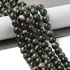 Natural Green Quartz Round Beads Strands G-Q171-D02-02-2