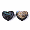 Natural Abalone Shell/Paua Shell Beads SSHEL-T014-16B-2