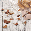 Kissitty 20Pcs 10 Style Resin & Walnut Wood Pendants RESI-KS0001-05-20