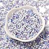 Baking Paint Glass Seed Beads SEED-F005-01A-12-2