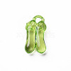 Transparent Acrylic Pendants MACR-N013-038-A01-3