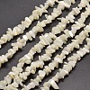 Natural White Mother of Pearl Shell Chip Bead Strands G-M205-63-1
