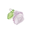 6Pcs Transparent Acrylic Pendants PALLOY-JF03288-02-4