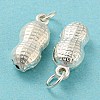 925 Sterling Silver Pendants STER-B002-12S-3