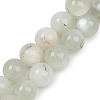 Natural Green Moonstone Beads Strands G-NH0060-A01-01-2