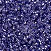MIYUKI Round Rocailles Beads SEED-JP0010-RR0649-3