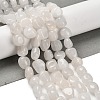 Natural White Jade Beads Strands G-P497-01E-25-2