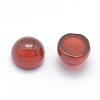 Natural Carnelian Cabochons G-P393-R03-12MM-2