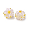Handmade Lampwork Enamel Beads LS-LAMP-Z020-05C-2