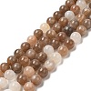 Natural Multi-Moonstone Beads Strands G-J157-8mm-06-3