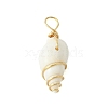 Natural Spiral Shell Pendants PALLOY-JF02792-01-3