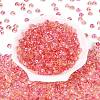 Transparent Colours Glass Seed Beads SEED-Q042-01A-A05-2
