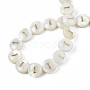 Natural Freshwater Shell Beads SHEL-S276-168I-4