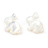 Natural White Shelll Beads SSHEL-N032-60-4