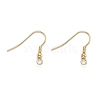 304 Stainless Steel Earring Hooks STAS-D448-036G-2