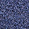 MIYUKI Delica Beads LS-X-SEED-J020-DB2319-2