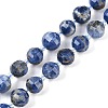 Natural Sodalite Beads Strands G-G182-B20-05-1