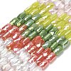 Electroplate Glass Beads Strands EGLA-P068-01A-12-1