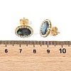 Paua Shell & Brass Stud Earrings for Women EJEW-JE07472-01-5