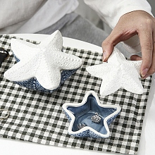 Starfish Ceramics Jewelry Plates WG73918-07