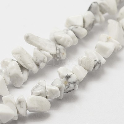 Natural Howlite Beads Strand X-G-F328-05-1