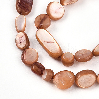 Natural White Shell Beads Strands SHEL-N036-21E-1
