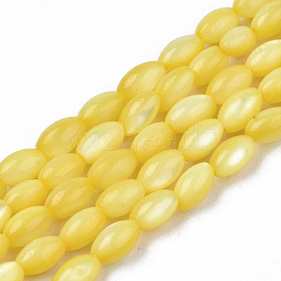 Natural Freshwater Shell Beads Strands SHEL-N003-25-B05-1