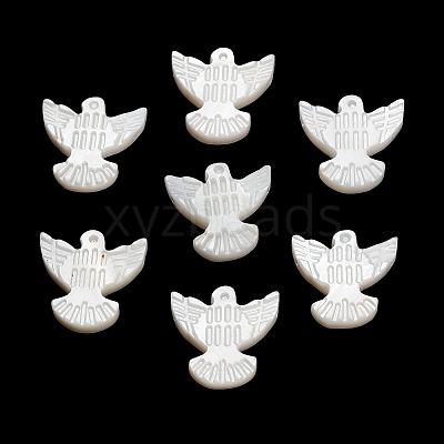 Natural Freshwater Shell Beads SH-CBA93AD-10-1