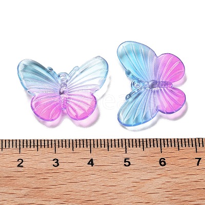 Transparent Acrylic Pendants OACR-H116-06D-1