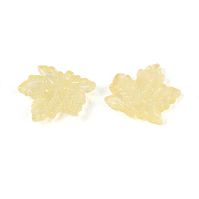 Baking Paint Transparent Glass Pendants DGLA-N014-11A-06-1