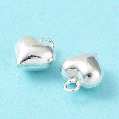925 Sterling Silver Charms STER-H106-01A-S-1