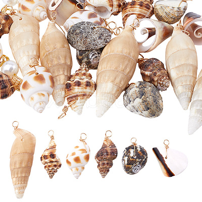 30Pcs 5 Styles Natural Mixed Shell Pendants PALLOY-GO00046-1