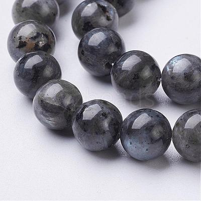 Natural Larvikite Beads Strands GSR8mmC128-1