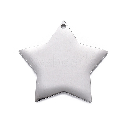 Non-Tarnish 304 Stainless Steel Pendants STAS-F254-07A-P-1
