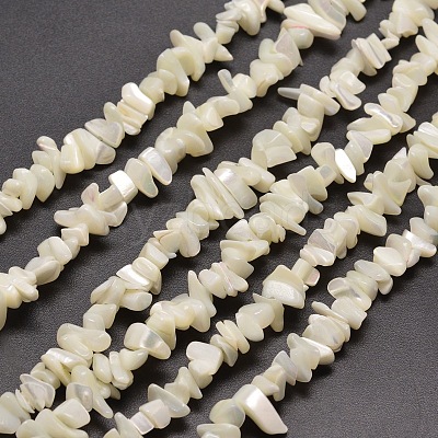 Natural White Mother of Pearl Shell Chip Bead Strands G-M205-63-1