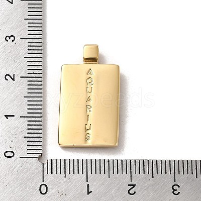 304 Stainless Steel Pendants X-STAS-L022-306G-11-1