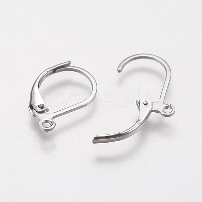 Tarnish Resistant 304 Stainless Steel Leverback Earring Findings STAS-F141-03P-1