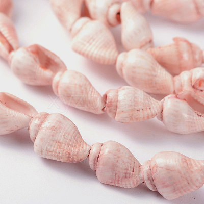 Natural Sea Shell Conch Bead Strands BSHE-O009-11-1