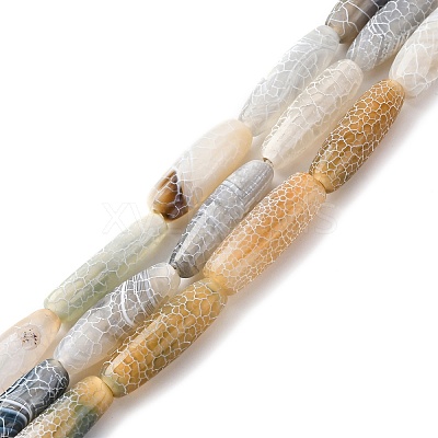 Natural Weathered Agate Beads Strands G-P570-C02-01-1